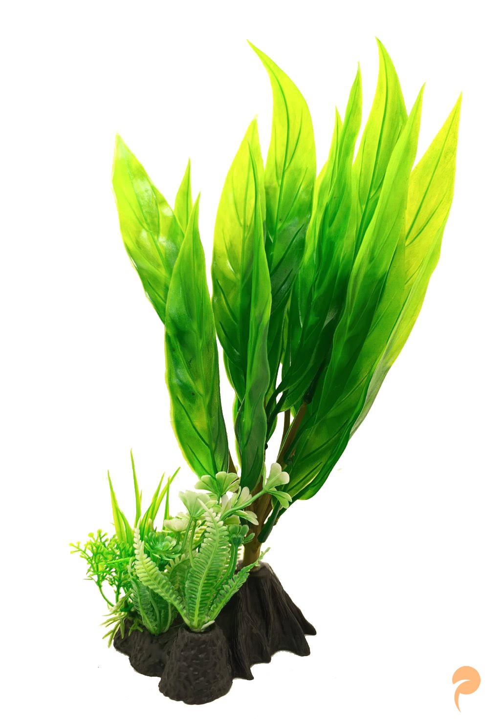 Фото2.Рослина, 8х19х26 см